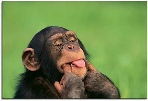 Lzacvbw Csimpánzok Állat Poszter Vicces Majom Mosolyogva a Majom Poszter Vászon Nyomatok Wall Art A Home Office Mozi Dekoráció